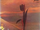PRETTY THINGS-PARACHUTE-JAPAN 1st ISSUE LP