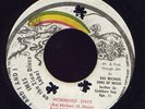 Ras Michael & Sons of Negus Numbered Days JA 45 Listen