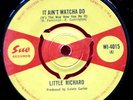 LITTLE RICHARD-IT AIN'T WATCHA DO UK SUE 45