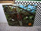 DRAGONFLY-RARE OR.MEGAPHONE KILLER PSYCH FUZZ DG LP