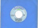 60s psych 45 Rick McClellan Frozen Sunshine on RANWOOD