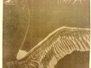 MY DYING BRIDE turn loose the swans 2x LP opeth gothic