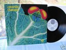 CATAPILLA CHANGES 1972 MINT VERTIGO SWIRL KILLER