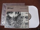 Bohack It took Several Wives LP Vincent Gallo VERY RARE