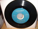 HIGHER ELEVATION:The Diamond Mine - Rare 45's-PEBBLES 3