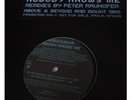 Madonna Nobody Knows Me US 12