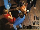 The Wild Gentlemen - Same SUPERRARE SWISS '66 BEAT LP