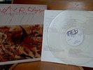 AMSTERDAM / LITFIBA - DIAFRAM CLEAR EP VINILE 1985 RARE