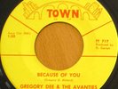 Priv. '66 MN 45 GREGORY DEE AVANTIES Because TWIN TOWN