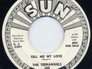 Doo Wop 45- The Teenangels- Tell Me My Love- Sun Promo