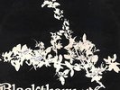whm1921/1922 blackthorn same-II signed vg++ to ex++