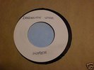 HOMER : Dandelion Wine TEXAS Fuzz Psych ACETATE  LISTEN