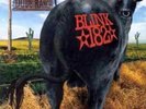 Blink 182 - Dude Ranch ++ US-Import ++ Vinyl LP ++ RAR