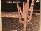 INDIAN SUMMER  BRILLIANT RCA- NEON ALBUM  