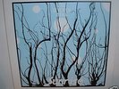 THE SEVENTH DAWN Folk Prog Psych LTD RE LP OOP