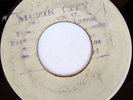 rare Jamaica Reggae Blank 45 VICEROYS shake up