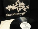 BLACKTHORN ''BLACKTHORN'' FIRST 1977 W.H.M. LABEL N/MIN
