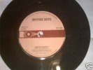 SPITFIRE BOYS- MEIN KAMPS- 7