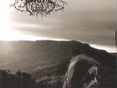 DROWNING THE LIGHT --the serpents r.-LP -MULTICOLOUR