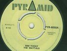 MAYTALS - BIM TODAY - ORIG UK PYRAMID 7