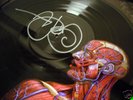 tool band autographed lateralus vinyl  signed