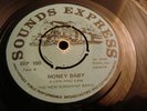 NEW SUNSHINE BAND honey AFRO FUZZ GARAGE MOD DANCER 45