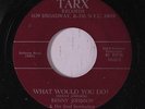 BENNY JOHNSON & SOUL SERENADERS: What Would You Do? / Fresh Out Of Teardrops 45