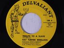 NAT TURNER REBELLION: Tribute To A Slave / Plastic People 45 rare Funk