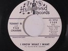 TOMMY G & CHARMS: I Know What I Want / I Want You So Bad 45 (dj) Soul