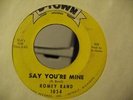 ROMEY RAND DETROIT NORTHERN SOUL 45 D-TOWN 1054 HEAR