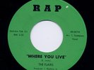 Rare Northern Soul - FLAIRS you got to steal it *Listen