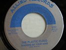 PLASTIC CLOUD,SHADOWS OF ..,RARE 7