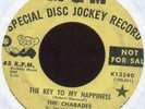 The Charades Northern Soul YLP 45 on MGM #13540