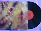 STEAMHAMMER s/t V Rare Orig UK CBS Prog Psych LP MONO
