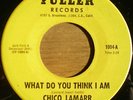 CHICO LAMARR What Do You Think I Am northern 45 FULLER