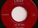 LITTLE FREDDY THE ROCKETS All My Love DOO WOP 45 Chief