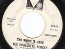 Garage/Psych - The Enchanted Forest on Variations,Fuzz