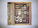 Mayfly, rare Dutch psych/folk LP 1973