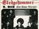 SLEDGEHAMMER 7