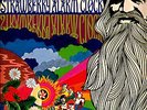 Strawberry Alarm Clock Wake Tomorrow LP Psych UNI '67