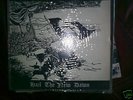 s-driver hail the new dawn  lp punk skin oi isd