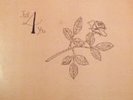 The Rarest Modern Soul Lp - George Smallwood - Just 4