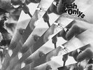 FRESH & ONLYS 7