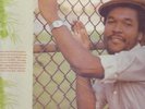 CARLTON LIVINGSTON - 100 WEIGHT OF COLLIE WEED LP *HEAR