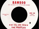 Rare Northern Soul THE PROFILES I Still Love You LISTEN