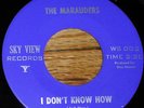 1960s Garage 45 - MARAUDERS Since I Met You - SKY VIEW