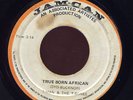 T Man & T-Bones True Born African JA orig 45 Listen