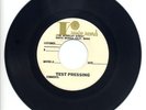 Descendents - Clean Sheets Promo 7