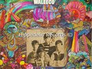 FLAT EARTH SOCIETY WALEECO US LP ORIG FLEETWOOD PSYCH