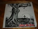 AFTER THE FIRE LP RARE Oi SKINHEAD CHISWICK